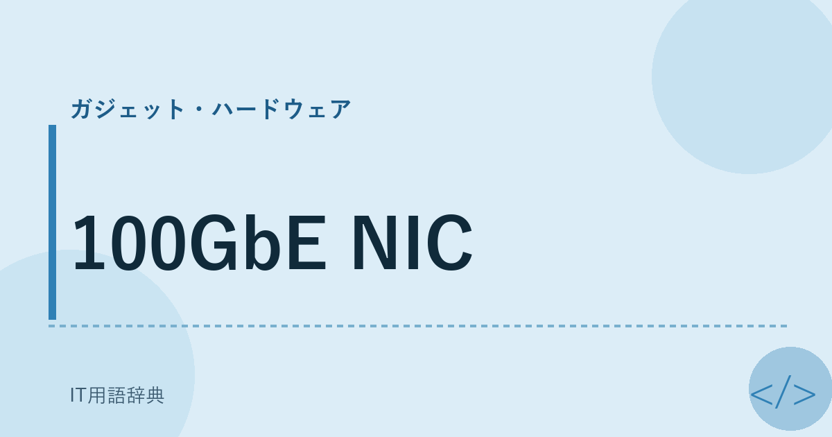 100GbE NIC