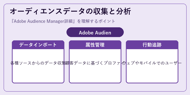 オーディエンスデータの収集と分析