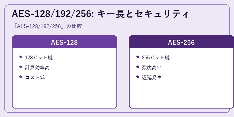 AES-128/192/256: キー長とセキュリティ