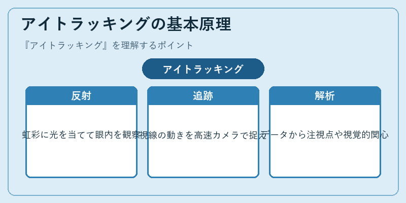 アイトラッキングの基本原理