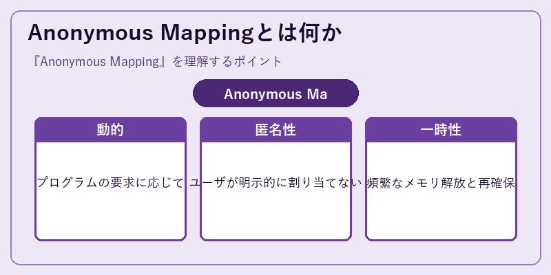 Anonymous Mappingとは何か