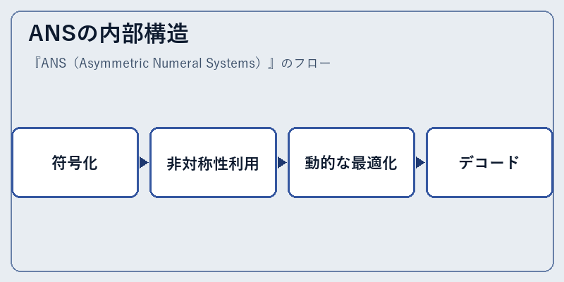 ANSの内部構造