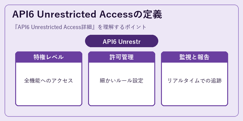 API6 Unrestricted Accessの定義