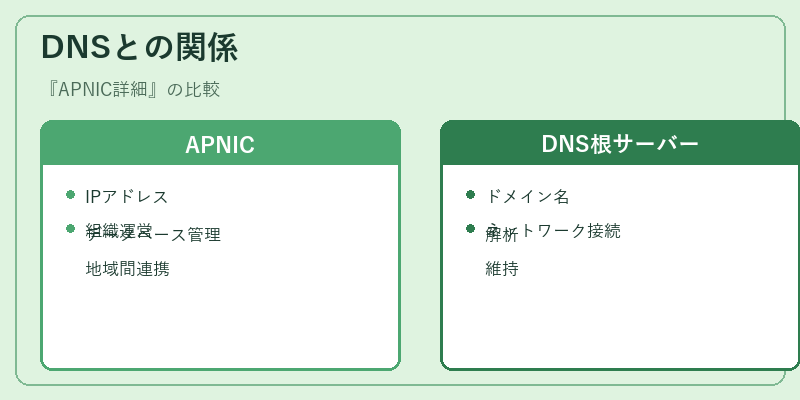 DNSとの関係