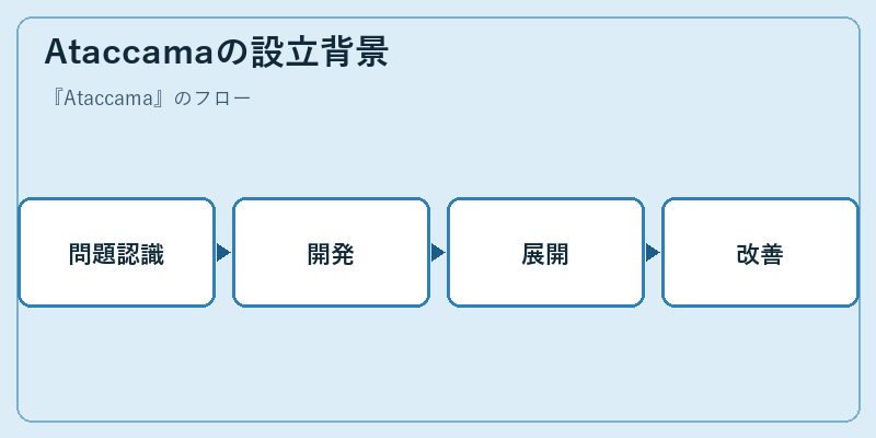 Ataccamaの設立背景
