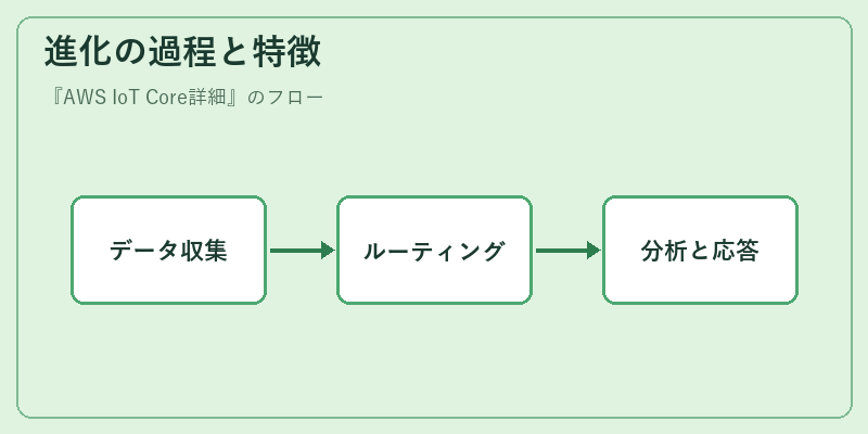 進化の過程と特徴