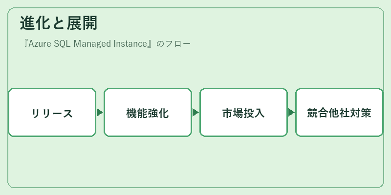 進化と展開