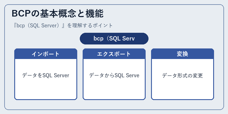BCPの基本概念と機能