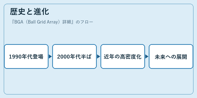 歴史と進化