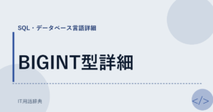BIGINT型詳細 アイキャッチ