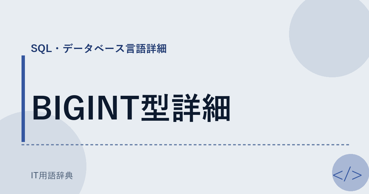 BIGINT型詳細 アイキャッチ