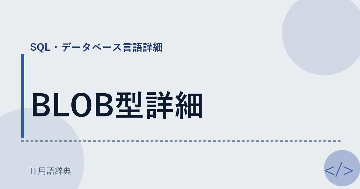 BLOB型詳細