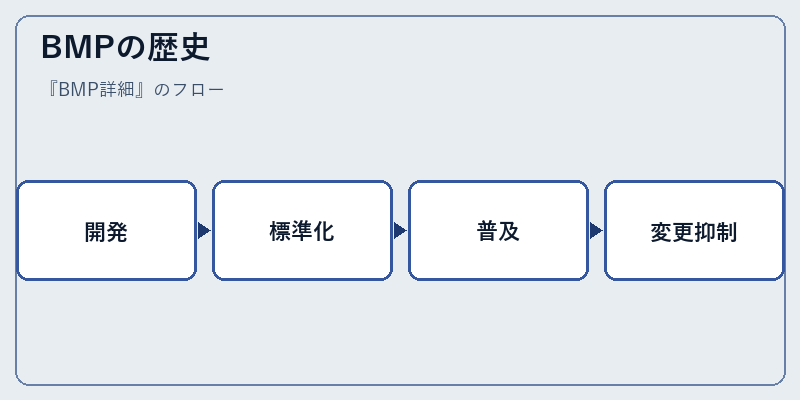 BMPの歴史