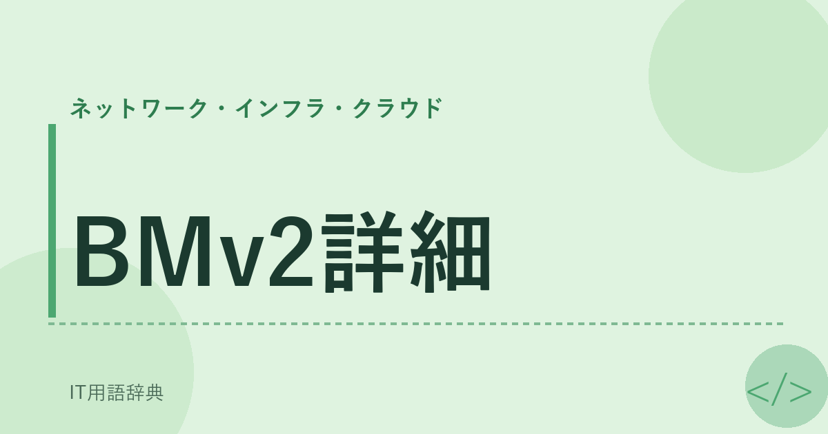 BMv2詳細