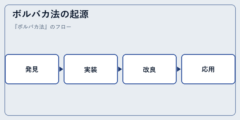 ボルバカ法の起源