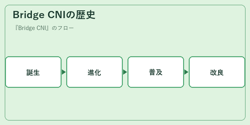 Bridge CNIの歴史