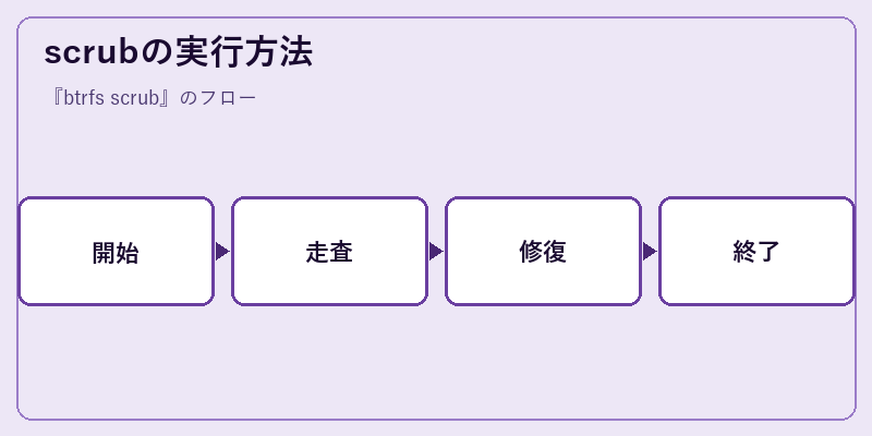 scrubの実行方法