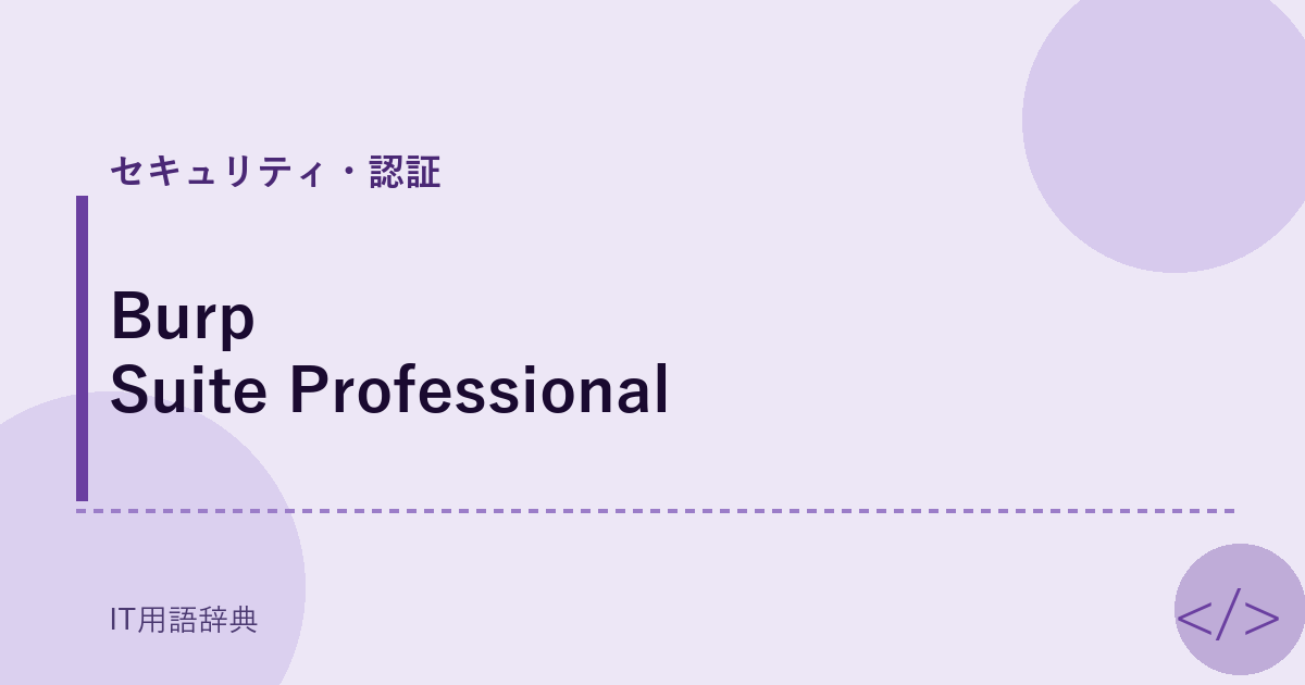 Burp Suite Professional