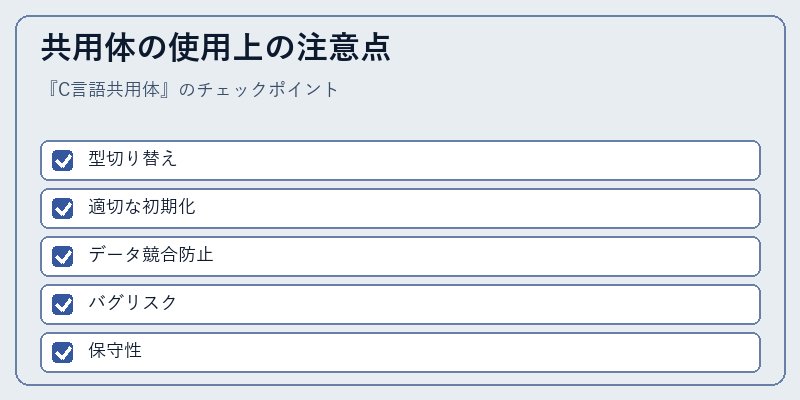 共用体の使用上の注意点