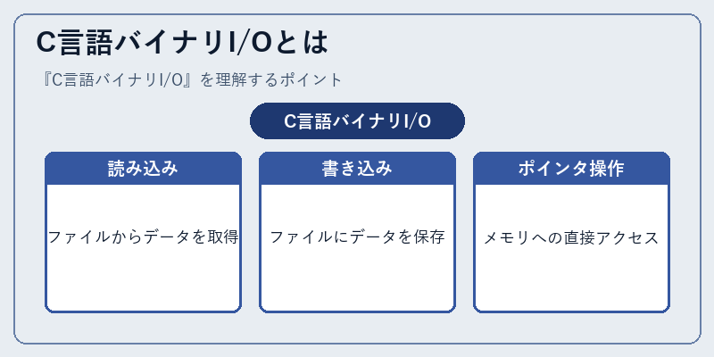 C言語バイナリI/Oとは