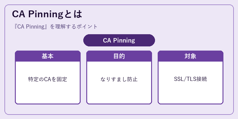 CA Pinningとは