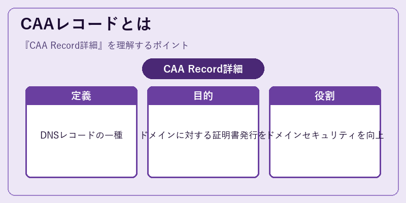 CAAレコードとは