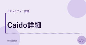 Caido詳細 アイキャッチ