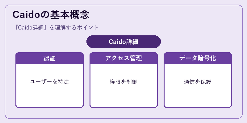 Caidoの基本概念