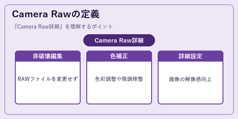 Camera Rawの定義