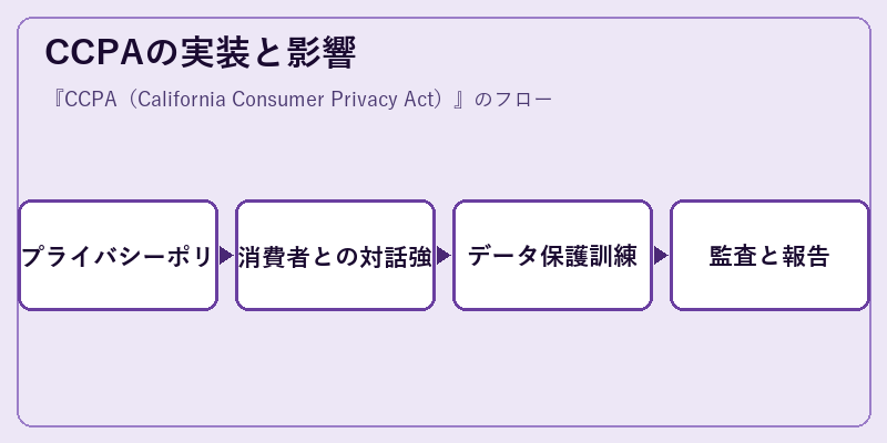 CCPAの実装と影響