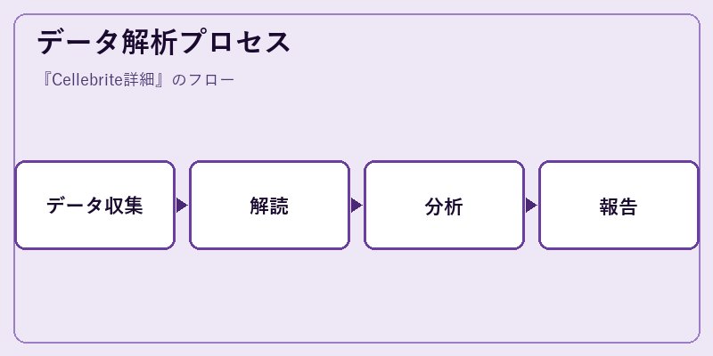データ解析プロセス
