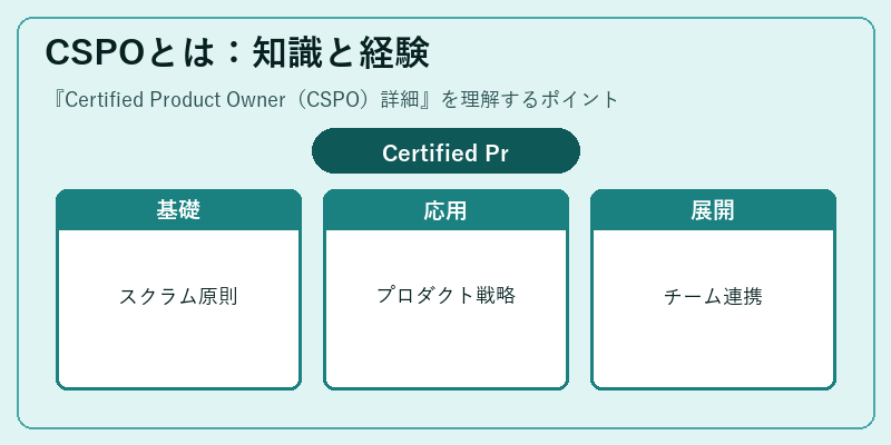 CSPOとは：知識と経験