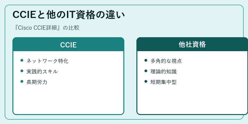 CCIEと他のIT資格の違い