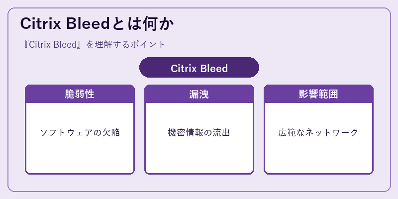 Citrix Bleedとは何か