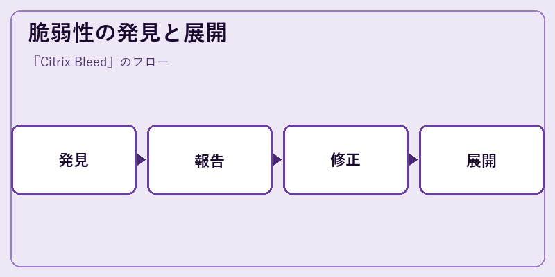 脆弱性の発見と展開