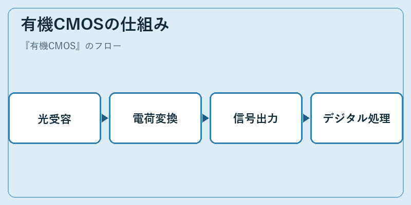 有機CMOSの仕組み