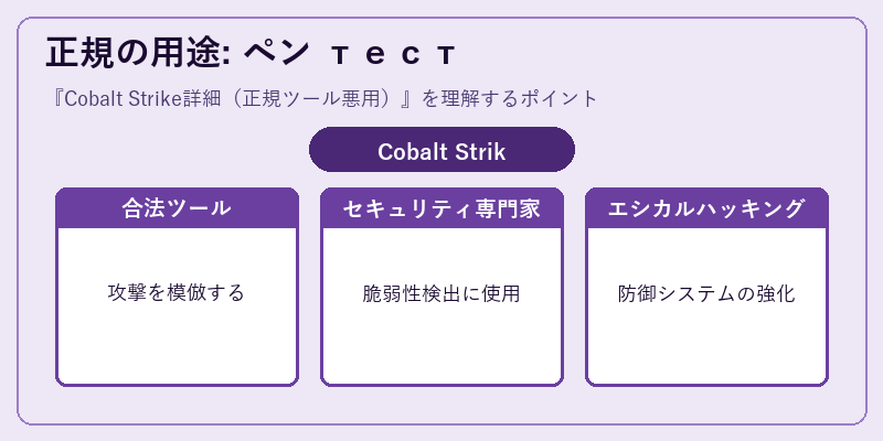正規の用途: ペン тест