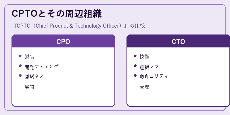 CPTOとその周辺組織