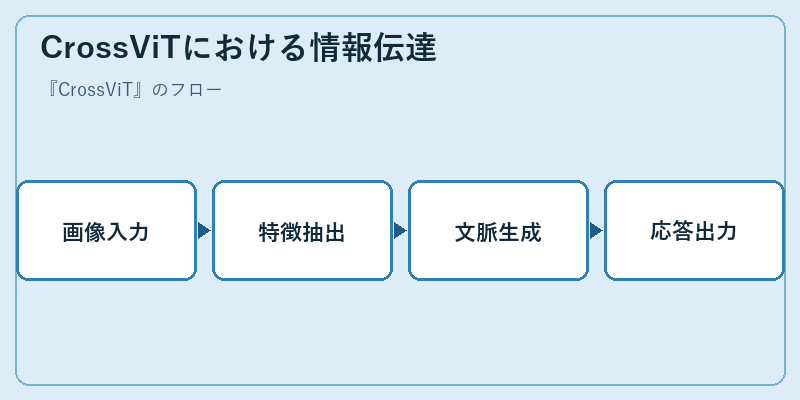CrossViTにおける情報伝達