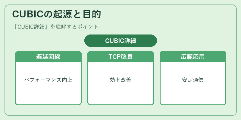 CUBICの起源と目的