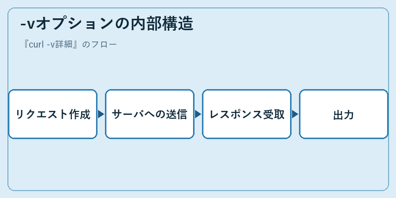 -vオプションの内部構造