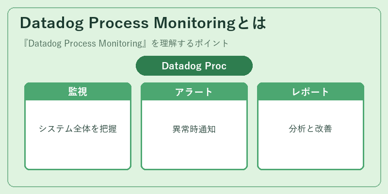 Datadog Process Monitoringとは