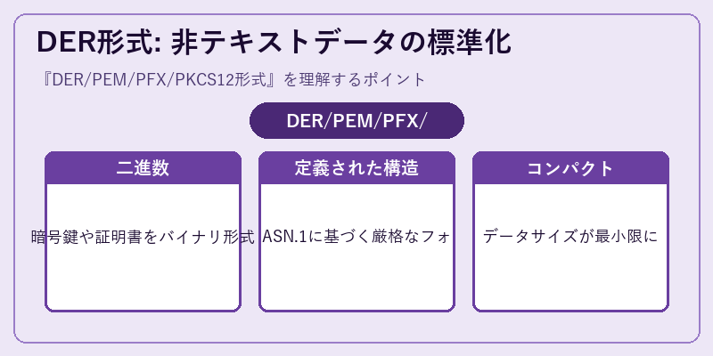 DER形式: 非テキストデータの標準化