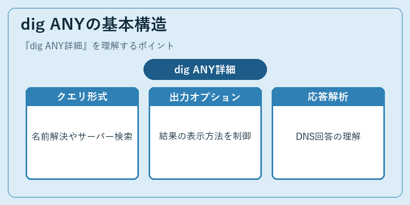 dig ANYの基本構造