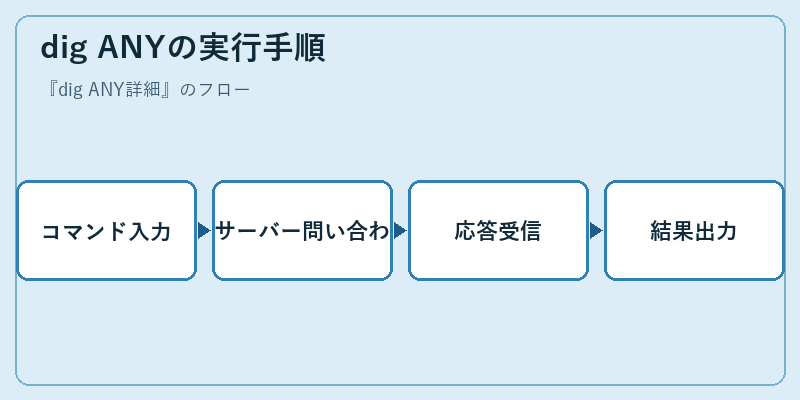 dig ANYの実行手順
