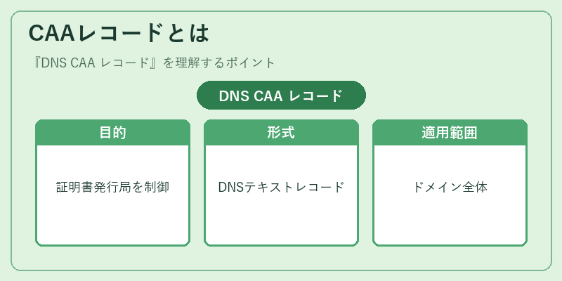 CAAレコードとは