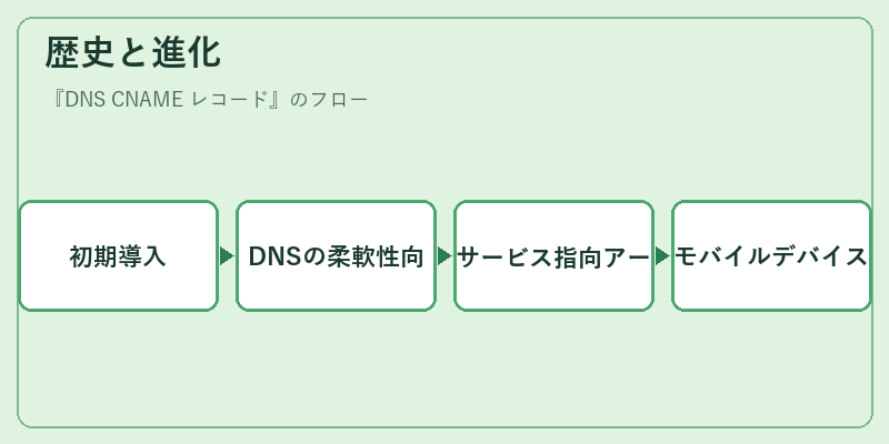 歴史と進化