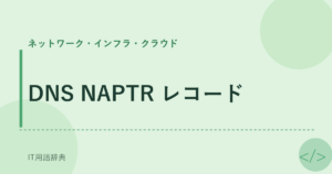 DNS NAPTR レコード アイキャッチ