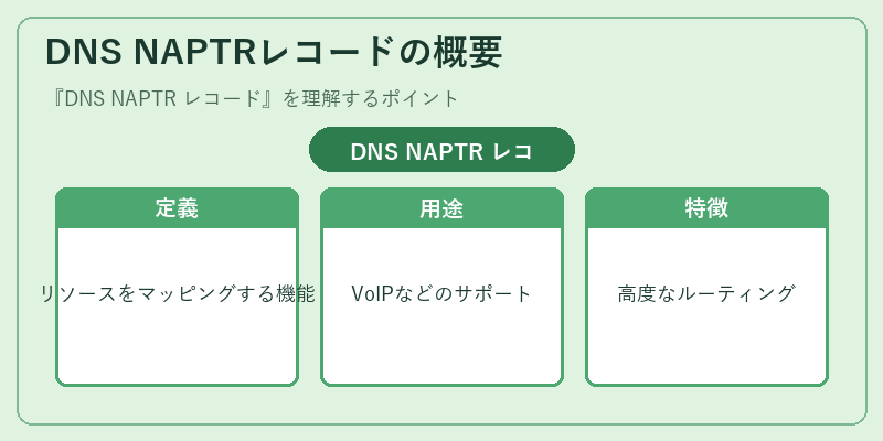 DNS NAPTRレコードの概要