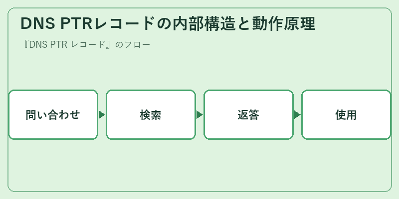 DNS PTRレコードの内部構造と動作原理